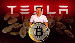 Elon Musk stock tips"