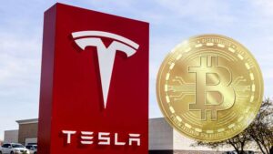 Elon Musk stock tips"