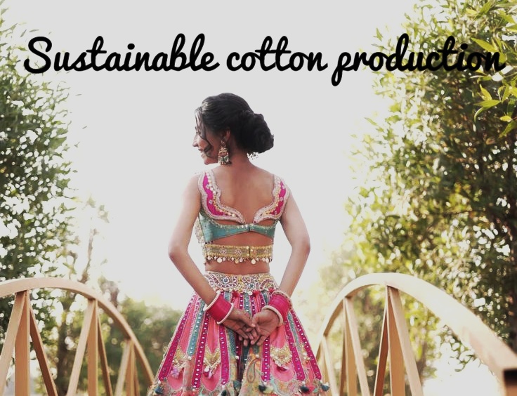 Sustainable cotton production