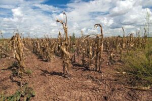 Crop Price Shock Ahead