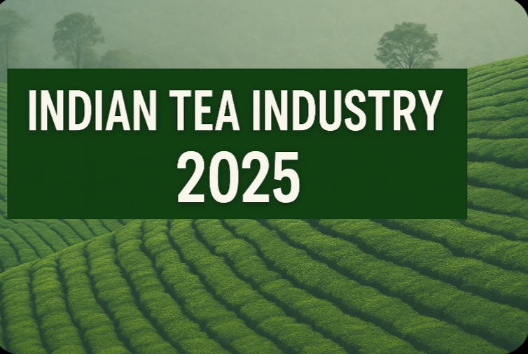 Indian Tea Industry 2025