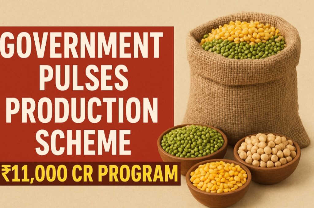 Government pulses production scheme, Cabinet approves pulses plan, Rs 11,000 cr agriculture scheme, pulses production boost India, MSP hike Rabi crops, six-year pulses mission, Indian farmers support scheme, Rabi crops MSP increase, government agriculture reforms, food security pulses scheme